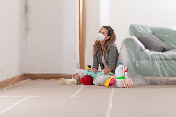 Reliable Mold Inspection contractor in Fair Haven, NJ by WQB Mold Removal